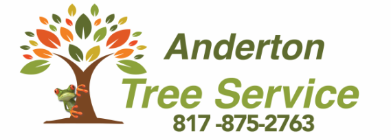 Tree Service Fort Worth | Tree Removal | Tree Trimming| Arborist | Tree Preservation